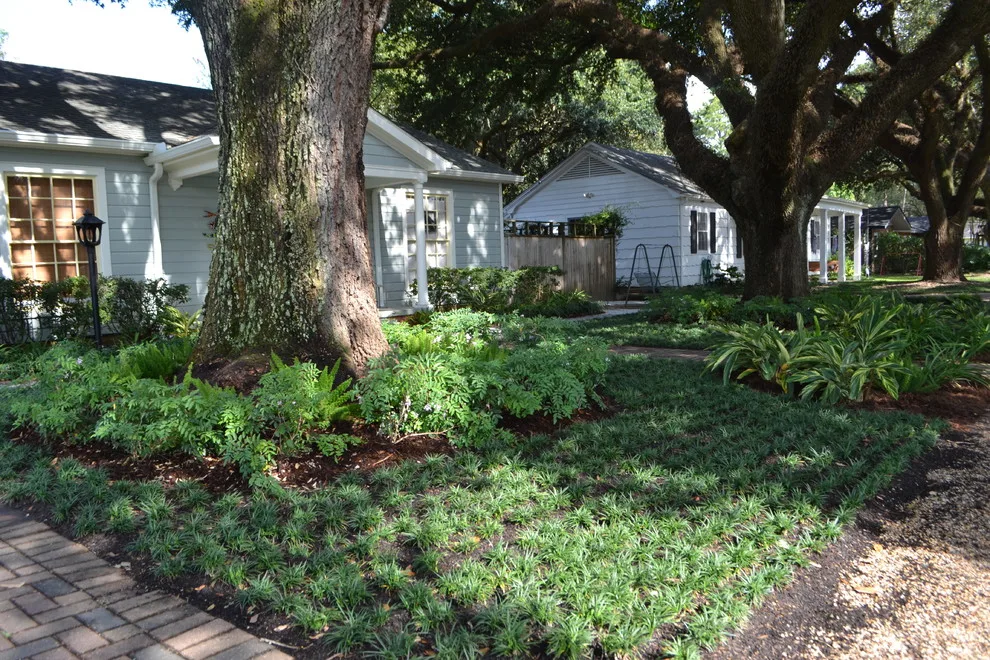 A Rustic Southern Cottage Garden by Megan Montgomery Design - Photo 6