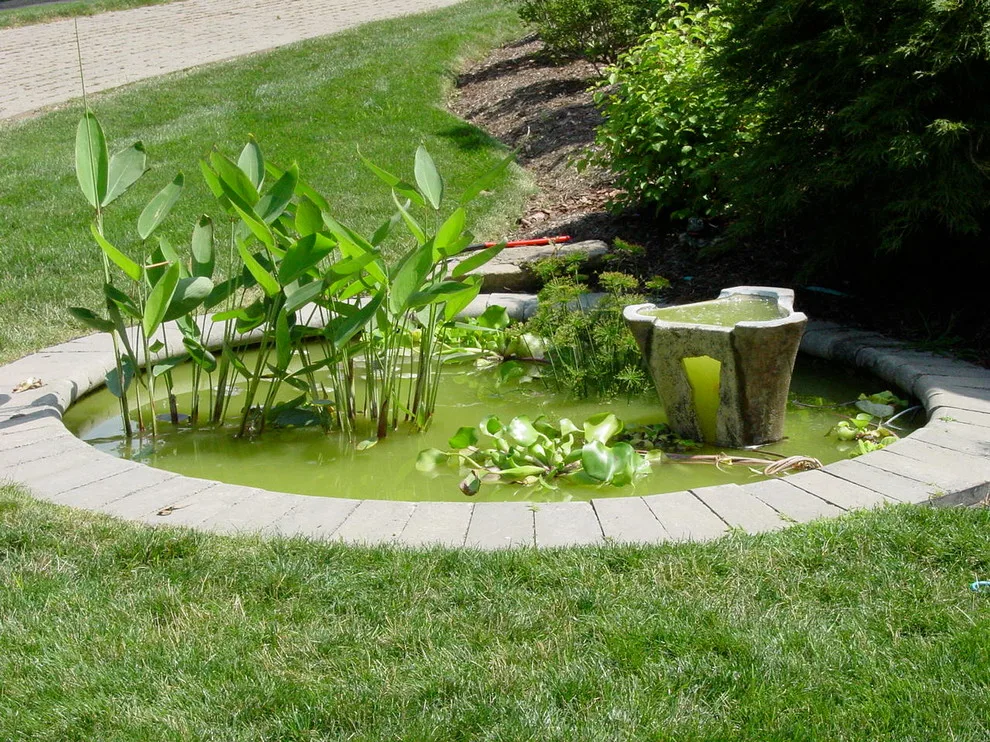 RAL Design & Horticulture - Photo 14