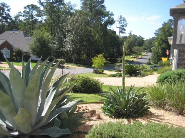Rejuvenation LLC - Photo 13