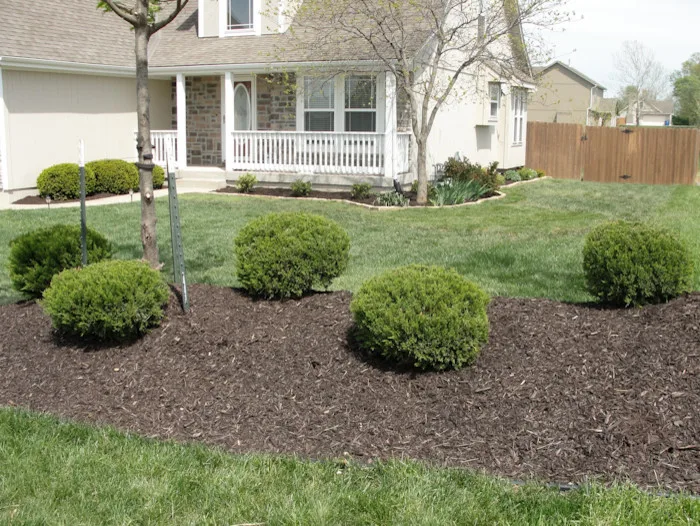 A2D Landscape Architecture by A2D Landscape & Design - Photo 10