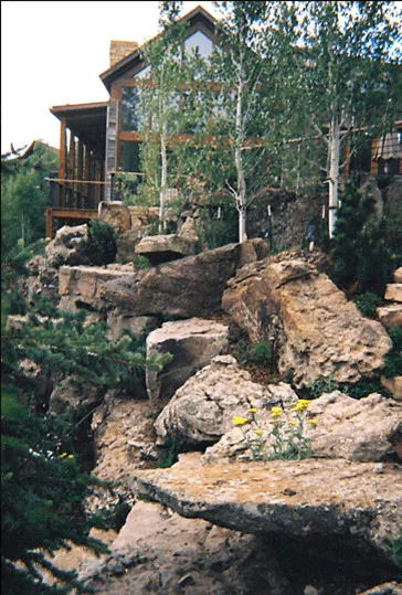 Escape Garden Design - Photo 9
