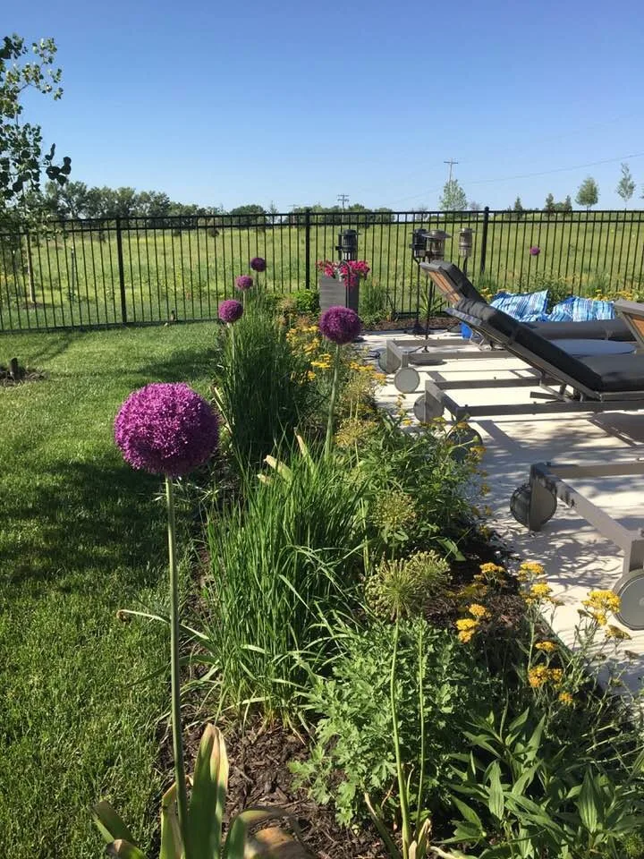 Our Efforts by Three Dogs & A Girl Garden Design - Photo 2