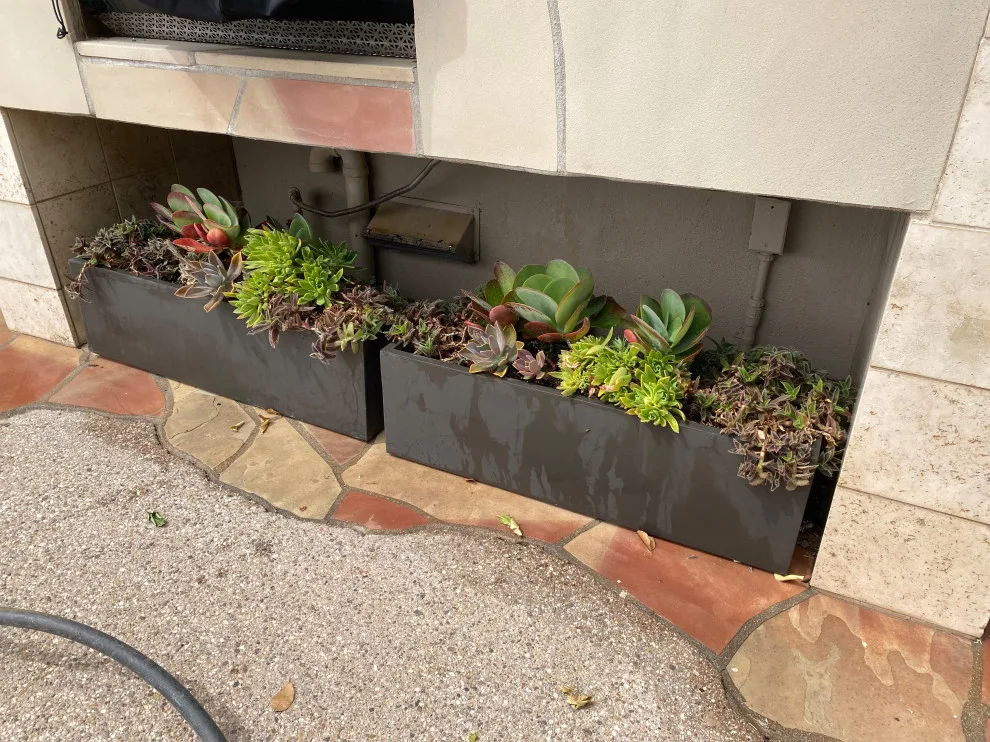 Green Side Planting Design And Maintenance - Photo 2