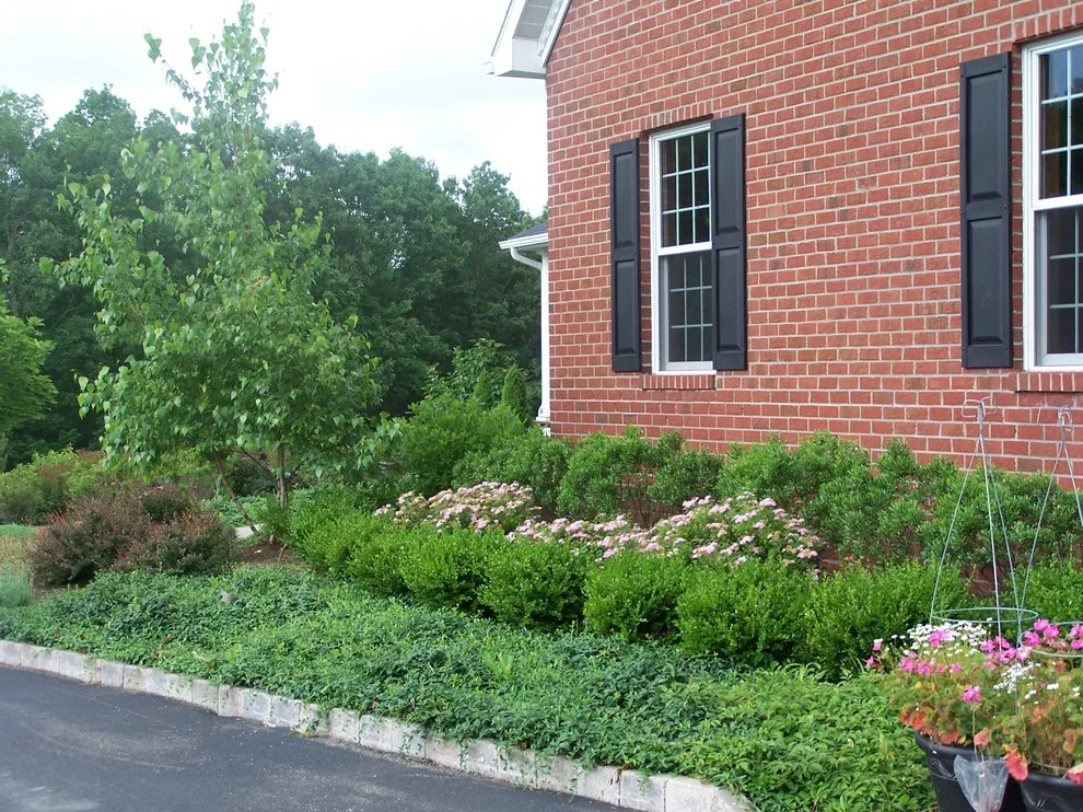 HAAS Landscape Architects - Photo 5