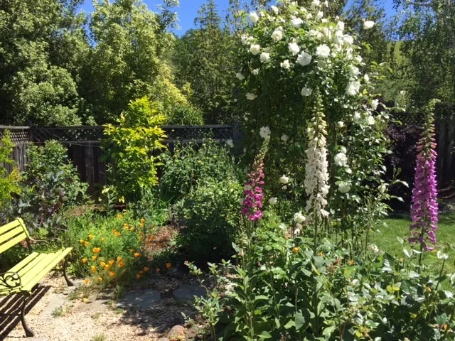Terra Linda Artist's Garden by Gardens & Gables - Photo 2