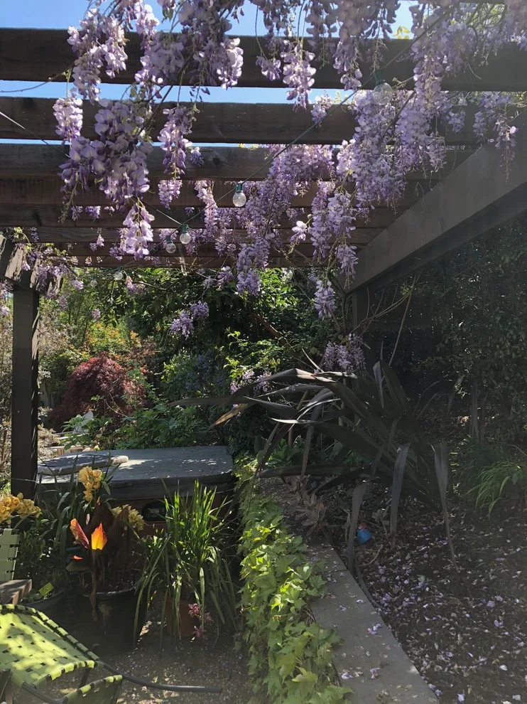 Terra Linda Artist's Garden by Gardens & Gables - Photo 4