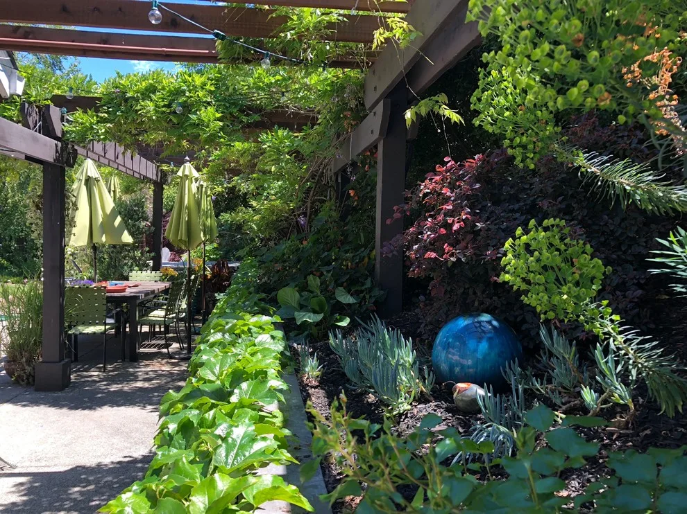 Terra Linda Artist's Garden by Gardens & Gables - Photo 6