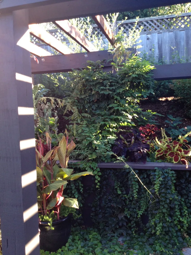 Terra Linda Artist's Garden by Gardens & Gables - Photo 9