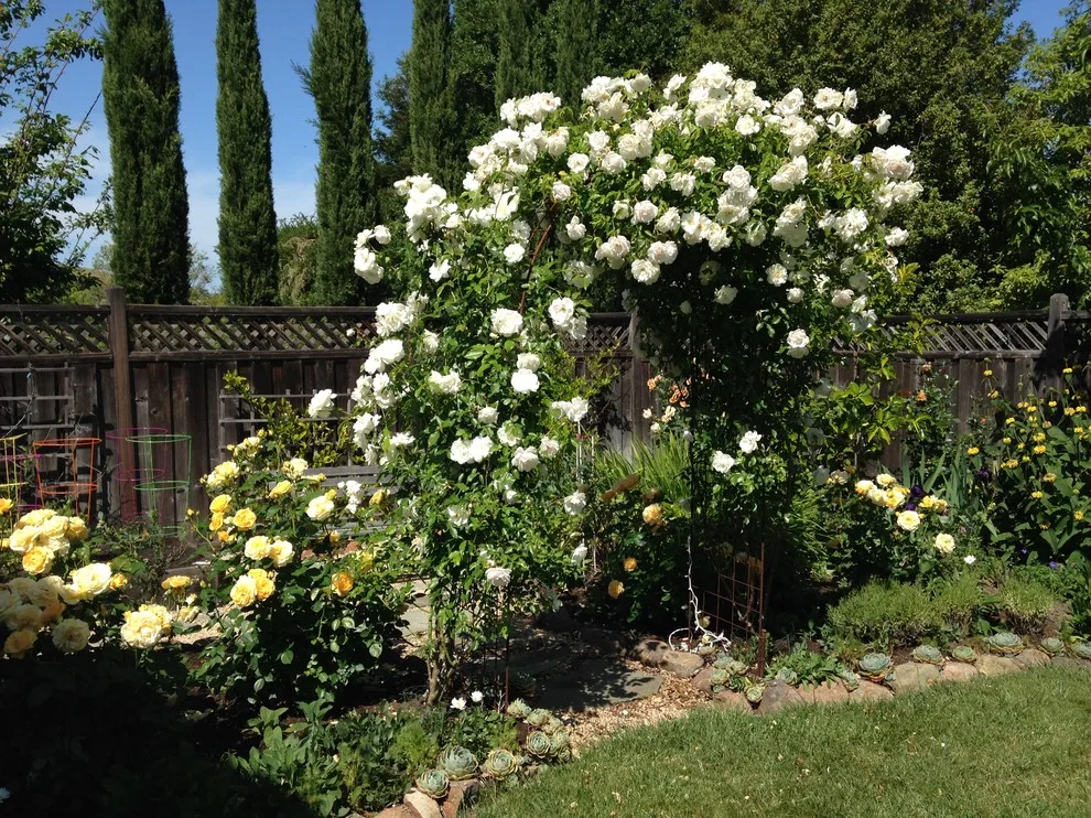 Terra Linda Artist's Garden by Gardens & Gables - Photo 10