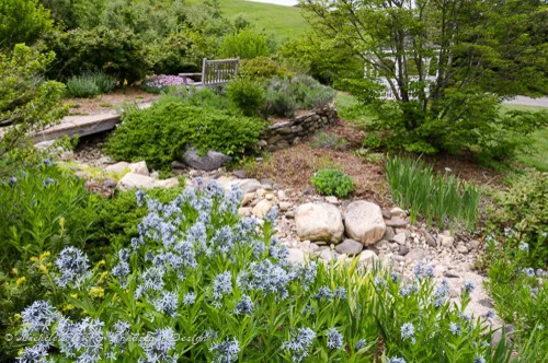 Michele Fletcher Landscape Designs - Photo 7