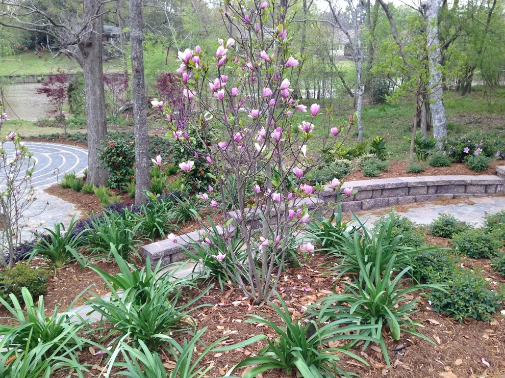 Rear Landscapes by All Seasons Nursery & Landscaping, LLC. - Photo 19