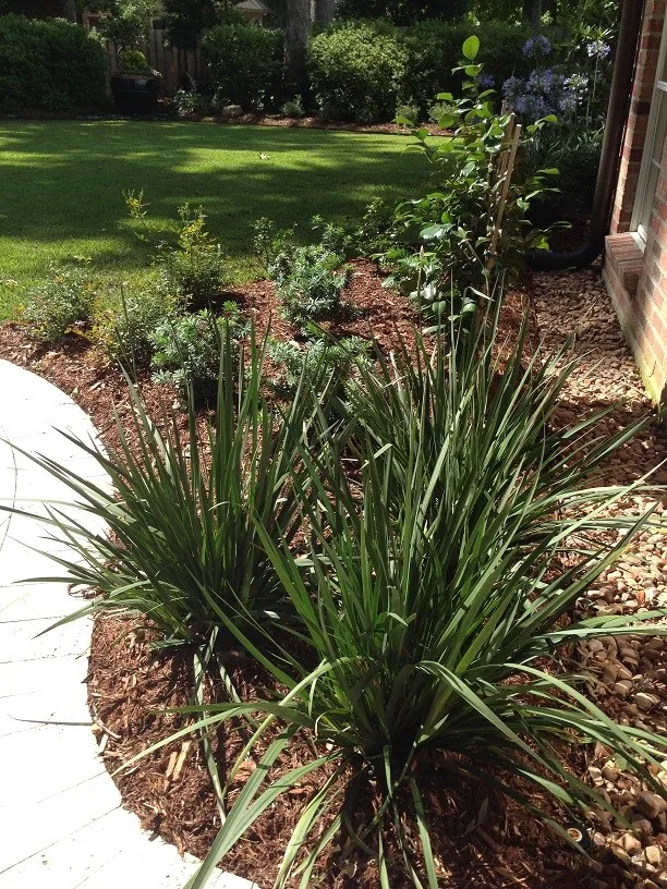 Rear Landscapes by All Seasons Nursery & Landscaping, LLC. - Photo 47