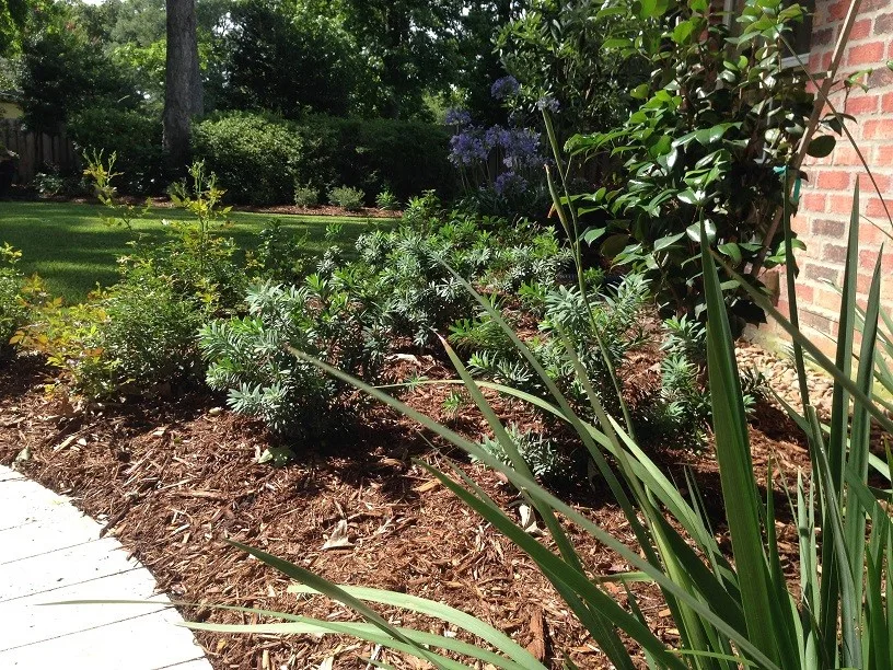 Rear Landscapes by All Seasons Nursery & Landscaping, LLC. - Photo 14