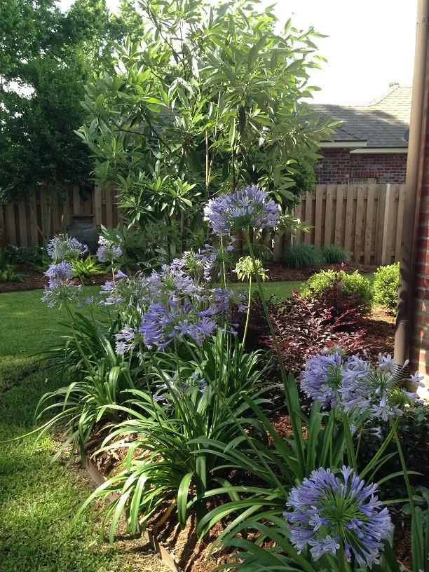 Rear Landscapes by All Seasons Nursery & Landscaping, LLC. - Photo 74