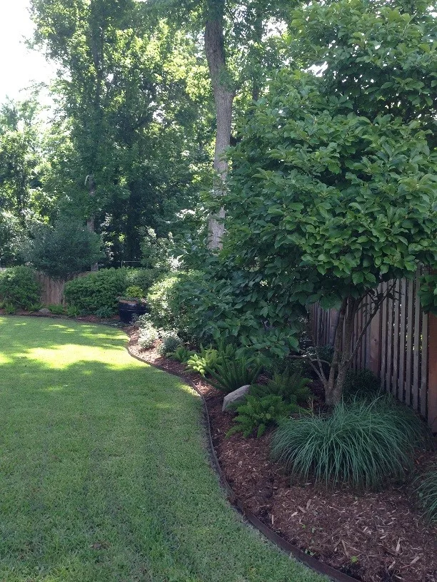 Rear Landscapes by All Seasons Nursery & Landscaping, LLC. - Photo 16