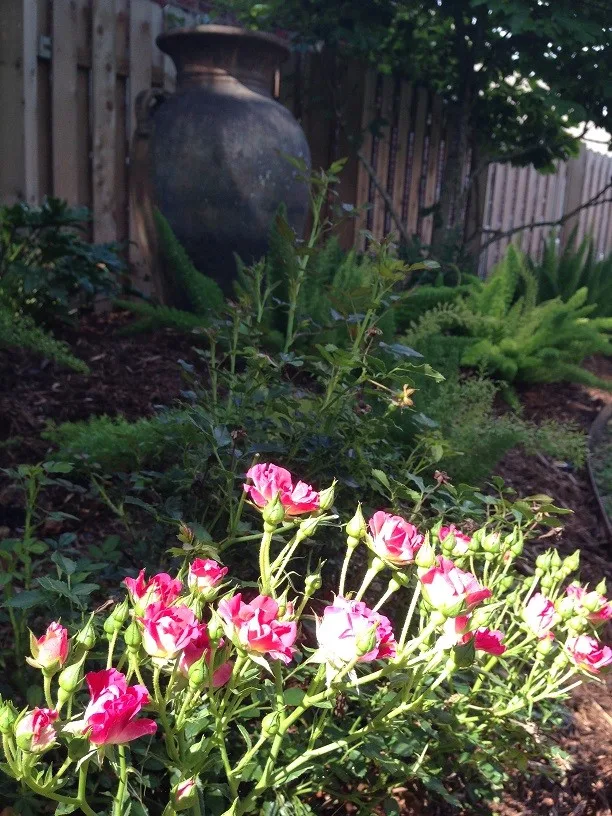 Rear Landscapes by All Seasons Nursery & Landscaping, LLC. - Photo 75
