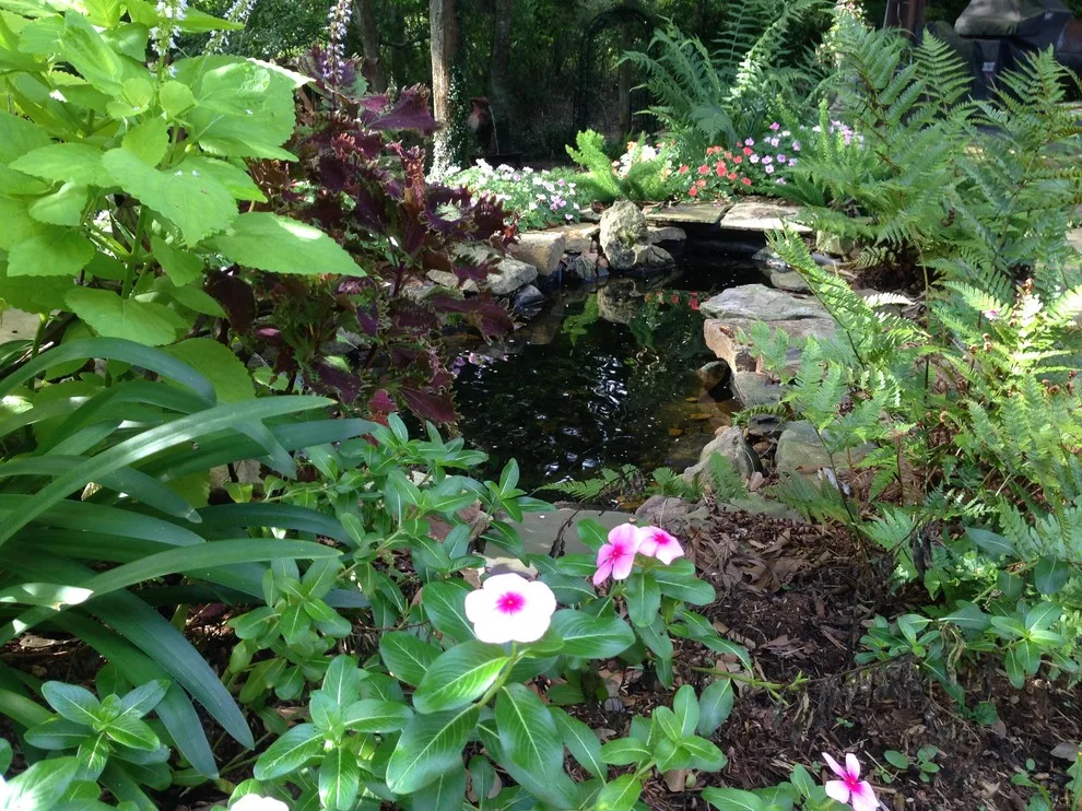 Rear Landscapes by All Seasons Nursery & Landscaping, LLC. - Photo 17