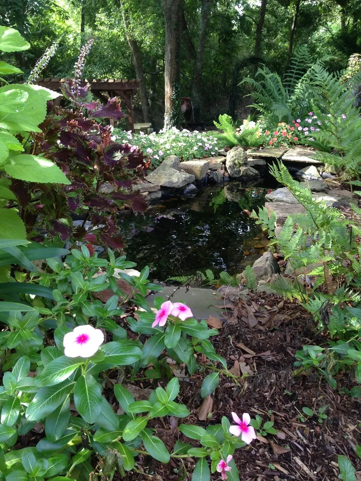 Rear Landscapes by All Seasons Nursery & Landscaping, LLC. - Photo 44