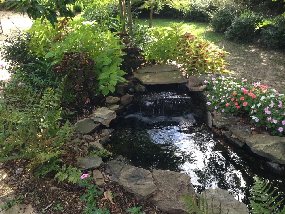 Rear Landscapes by All Seasons Nursery & Landscaping, LLC. - Photo 38