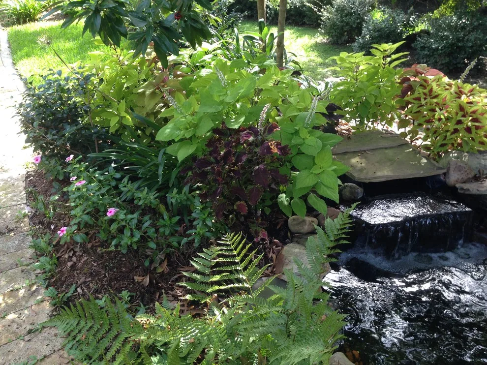 Rear Landscapes by All Seasons Nursery & Landscaping, LLC. - Photo 64