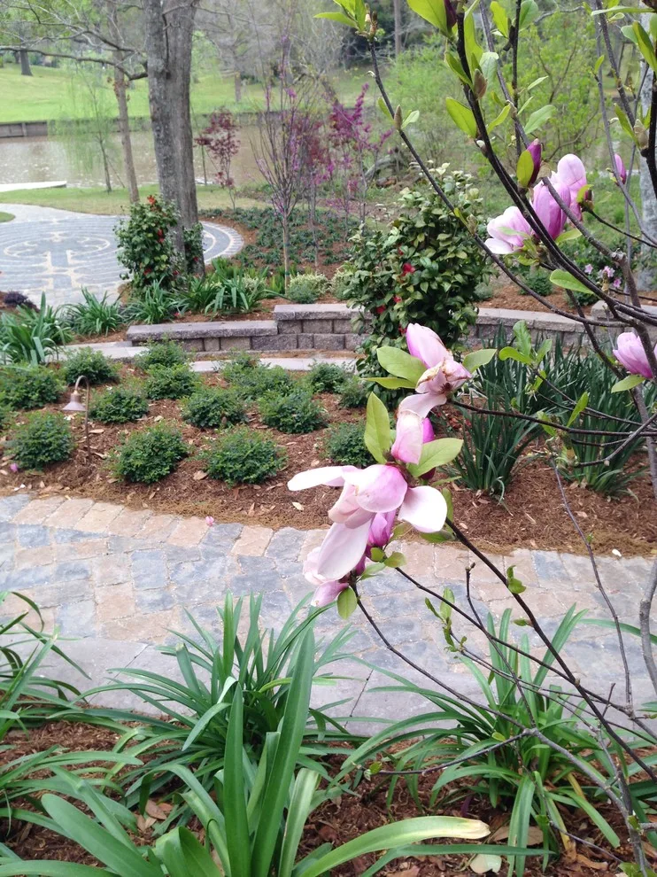 Rear Landscapes by All Seasons Nursery & Landscaping, LLC. - Photo 29