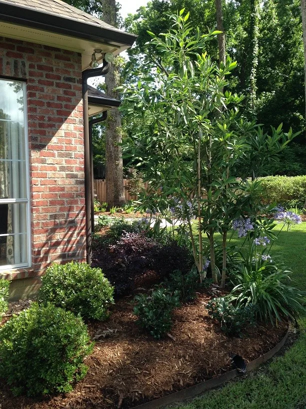 Rear Landscapes by All Seasons Nursery & Landscaping, LLC. - Photo 9
