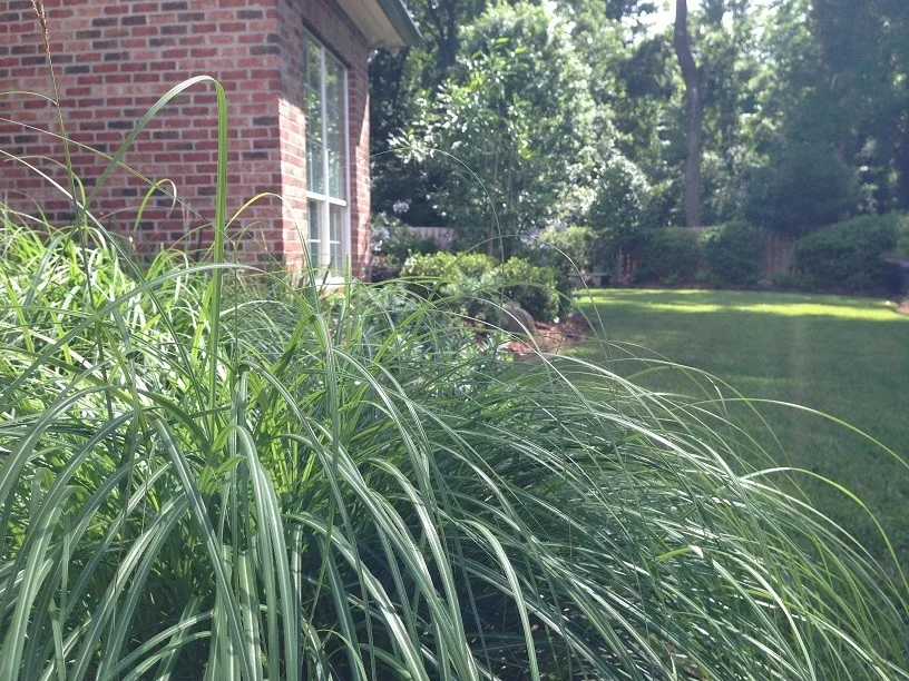 Rear Landscapes by All Seasons Nursery & Landscaping, LLC. - Photo 58