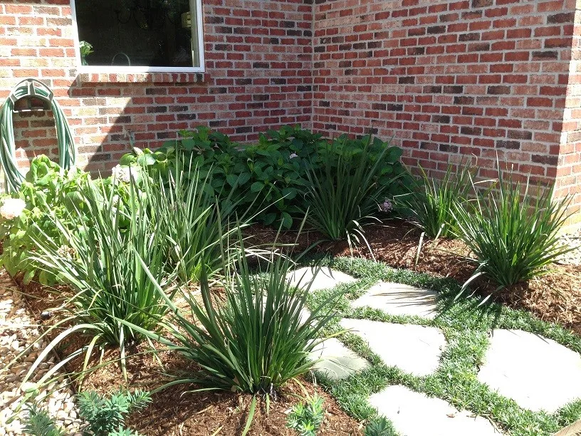 Rear Landscapes by All Seasons Nursery & Landscaping, LLC. - Photo 7