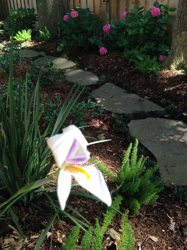 Rear Landscapes by All Seasons Nursery & Landscaping, LLC. - Photo 66