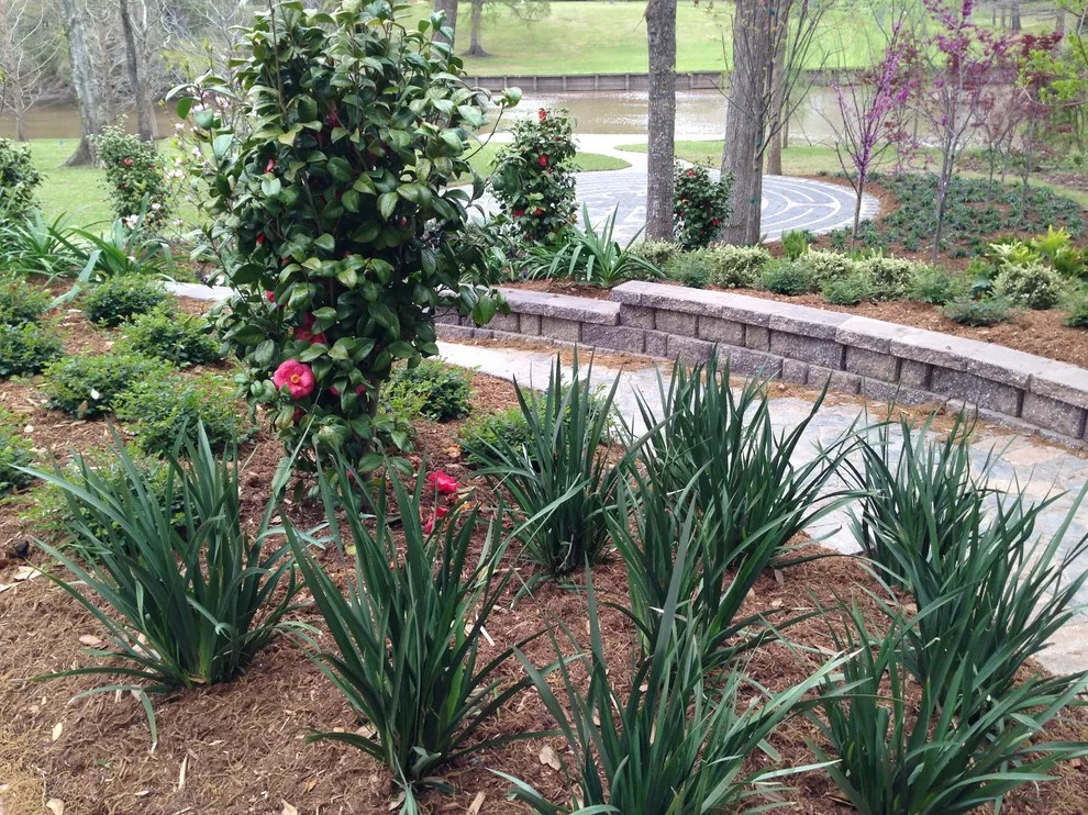 Rear Landscapes by All Seasons Nursery & Landscaping, LLC. - Photo 50