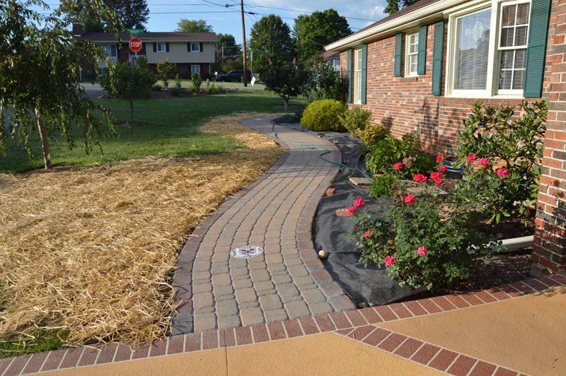 Rear Patio Initiative by Promier Landscapes - Photo 8