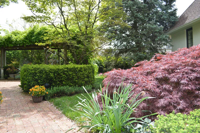 Garden Landscape Initiative by Promier Landscapes - Photo 8