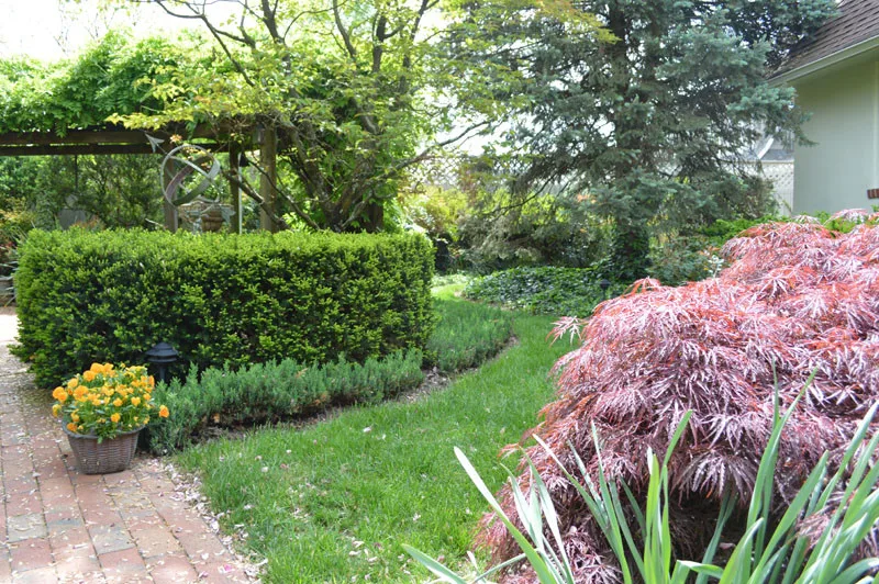 Garden Landscape Initiative by Promier Landscapes - Photo 6