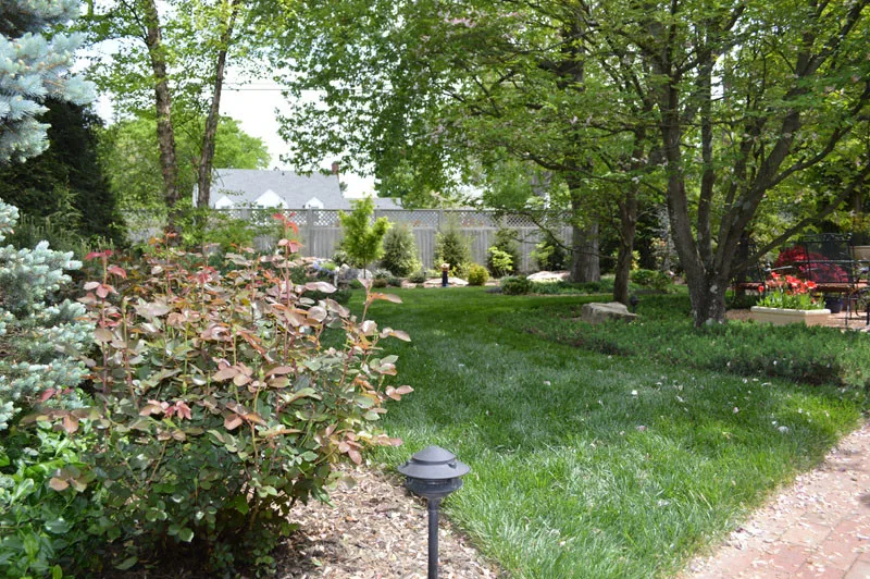 Garden Landscape Initiative by Promier Landscapes - Photo 3
