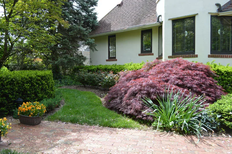 Garden Landscape Initiative by Promier Landscapes - Photo 9