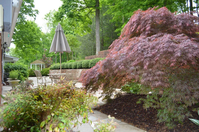 Garden Landscape Initiative by Promier Landscapes - Photo 10