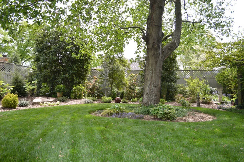 Garden Transformation by Promier Landscapes - Photo 15