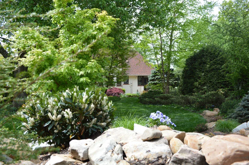 Garden Transformation by Promier Landscapes - Photo 6