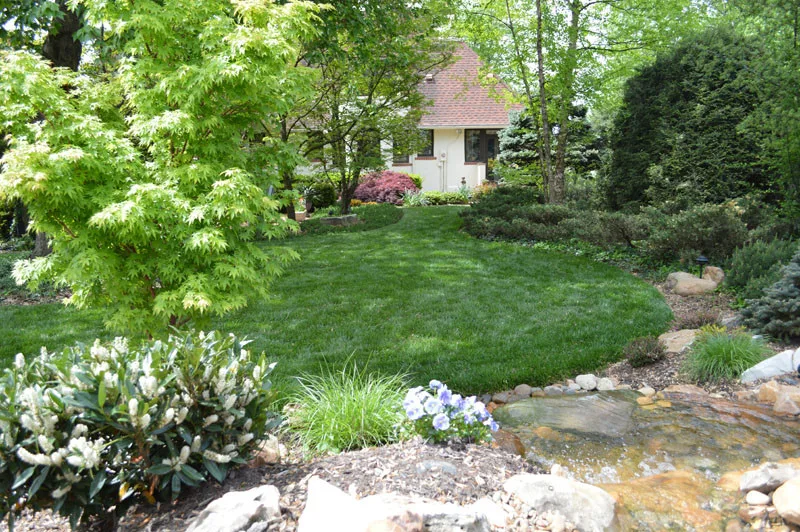 Garden Transformation by Promier Landscapes - Photo 9