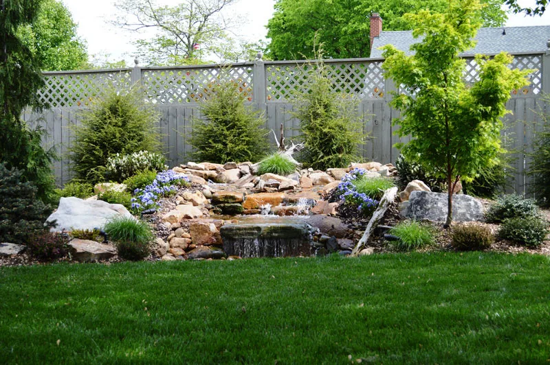 Garden Transformation by Promier Landscapes - Photo 13