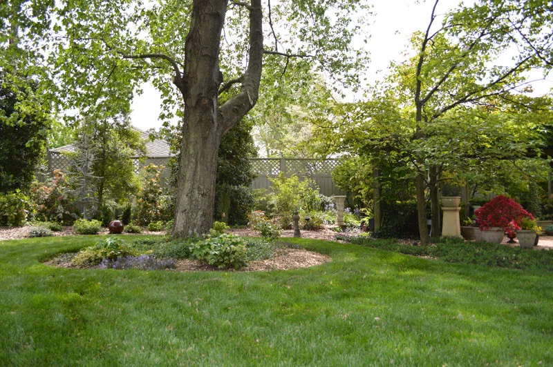 Garden Transformation by Promier Landscapes - Photo 2