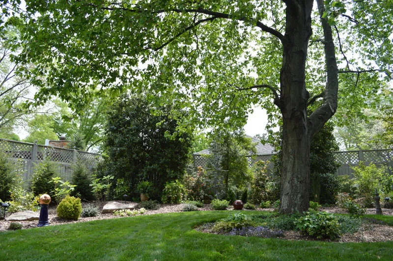 Garden Transformation by Promier Landscapes - Photo 10