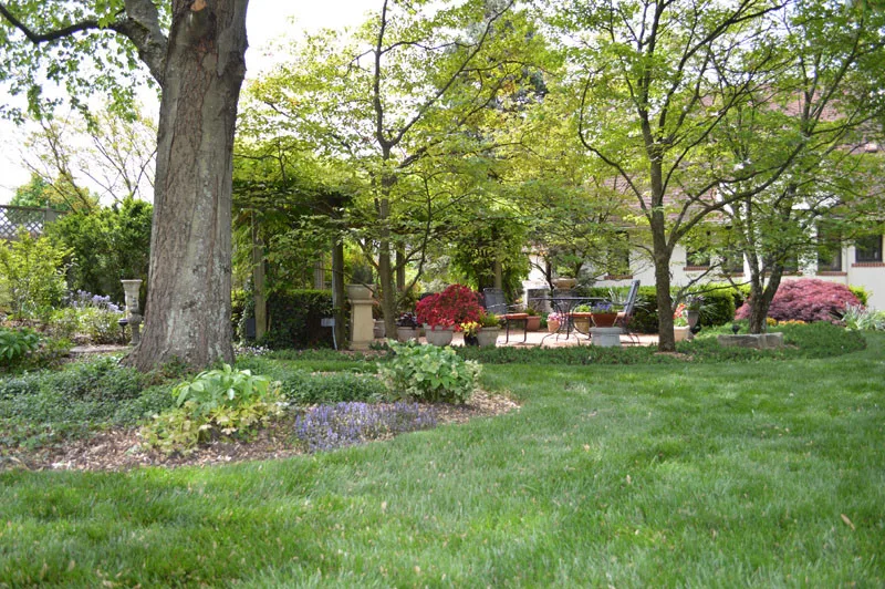 Garden Transformation by Promier Landscapes - Photo 19