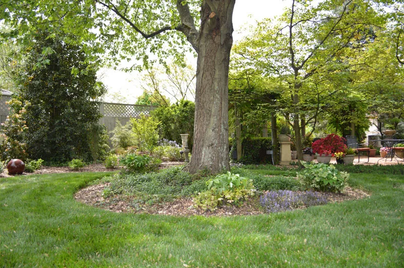 Garden Transformation by Promier Landscapes - Photo 5