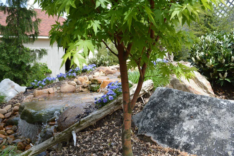 Garden Transformation by Promier Landscapes - Photo 7