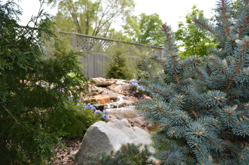 Garden Transformation by Promier Landscapes - Photo 18