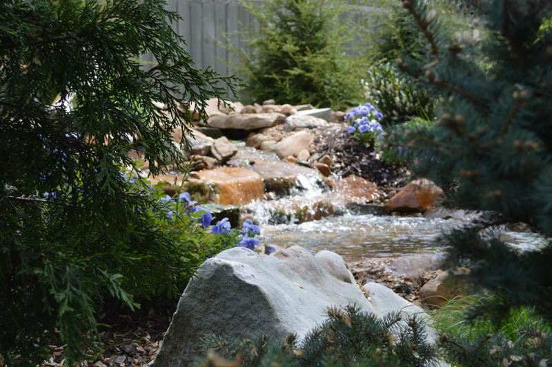 Garden Transformation by Promier Landscapes - Photo 16