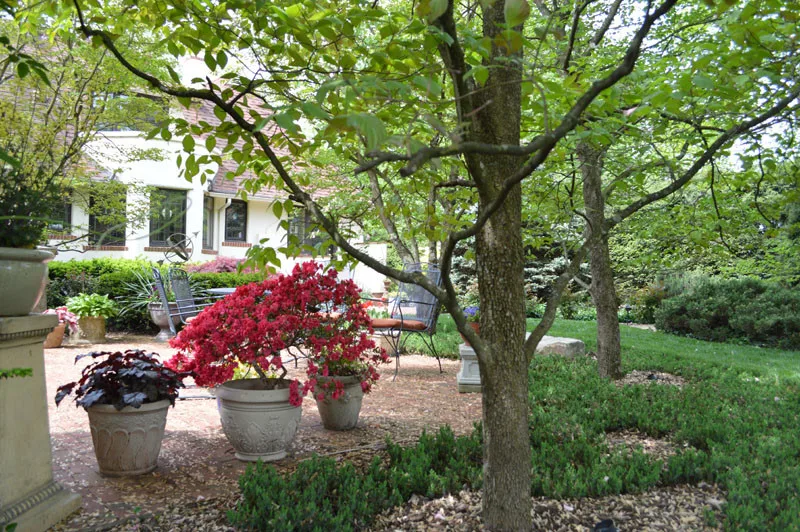 Garden Transformation by Promier Landscapes - Photo 17