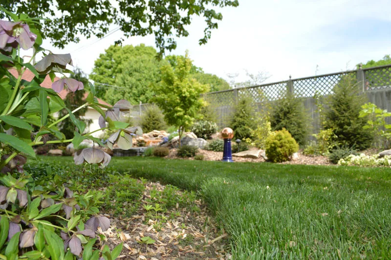 Garden Transformation by Promier Landscapes - Photo 11