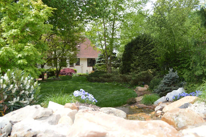 Garden Transformation by Promier Landscapes - Photo 14